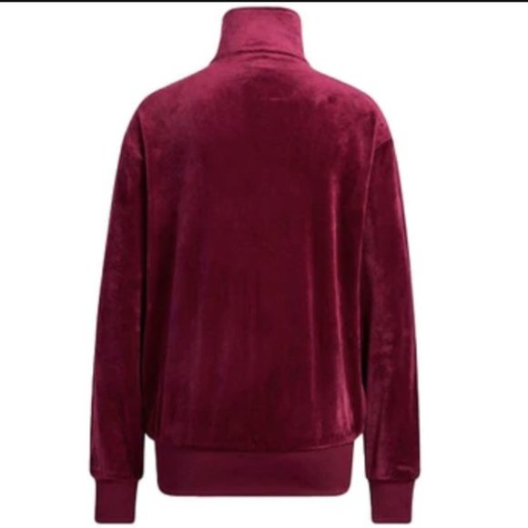 Ivy Park Chery Wood Velour V-Day Track Suite Jacket and Pant Set Gently used 2X - Picture 4 of 14